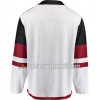 Miesten NHL Arizona Coyotes Pelipaita Blank Adidas Valkoinen Authentic